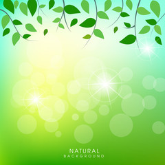 Vector green natural background design