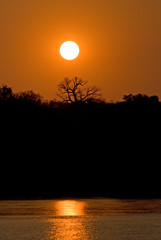 Fototapeta premium Fleuve Tsiribihina, Madagascar