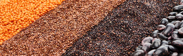 panoramic shot of assorted black beans, quinoa, red lentil and buckwheat