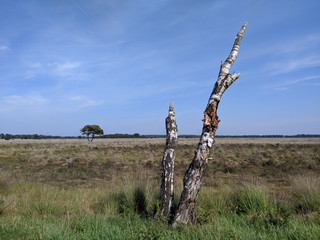 Scenery around Nijverdal