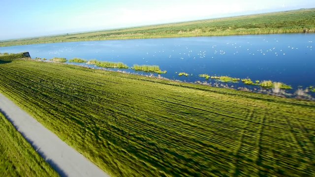 Flying over a flock of white birds in a paramotor over a water canal at Lake Okeechobee