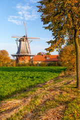 Fototapete bei efototapeten.de bestellen   