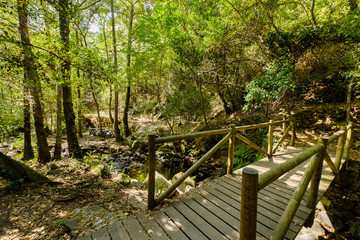 Waterfall Pedra Ferida