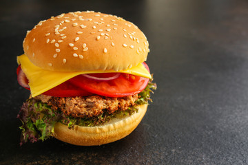 burger (roll, cutlets, cheese, lettuce, tomato, onion, sauce and more) menu concept. food background. copy space. Top view