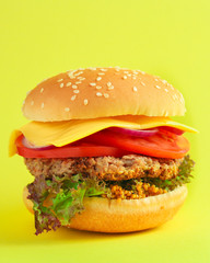 burger (roll, cutlets, cheese, lettuce, tomato, onion, sauce and more) menu concept. food background. copy space. Top view
