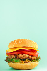 burger (roll, cutlets, cheese, lettuce, tomato, onion, sauce and more) menu concept. food background. copy space. Top view