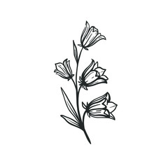 Vector illustration of a bellflower. Hand drawn vector floral sketch isolated on white. Botanical drawing.  - 288896246