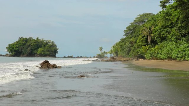 Sandy beach of the Pacific Ocean with palm trees at high tide
