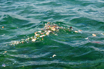  in the sea
