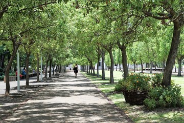 museum in La reunion in saint denis