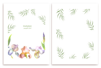 Flowers. Irises. Floral background. Green leaves.