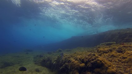 Underwater Seascape. Graceful Beautiful Panoramic Of Dramatic Sunlit Sea Surface Waves Breaking & Crashing Over Colourful & Peaceful Rocky Coral Reef. Blue Sea Water & Aquatic Marine Life