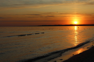 Obraz premium sunset in Koblevo (Ukraine)
