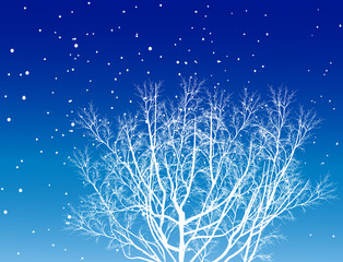 white tree in winter on blue background