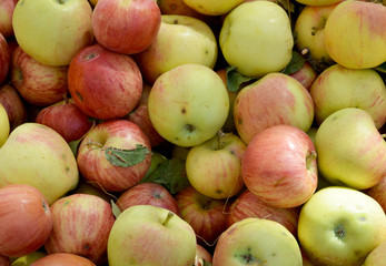 organic and fresh apples in the market