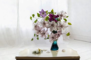 Still life with luxurious bouquet of clematis flowers