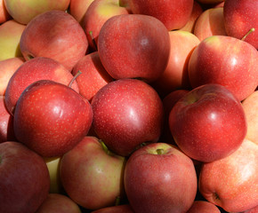 Fototapeta na wymiar organic and fresh apples in the market