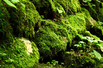 A photo of the lake and sunset