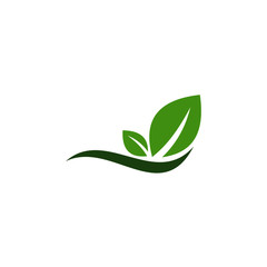 Creative green leaf logo template