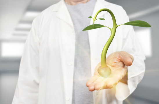 White scientist holding germinating seed on a blurred hospital background 3d rendering. Concept for agronomy research, nutrition, biochemistry, growth experiment and microbiology.