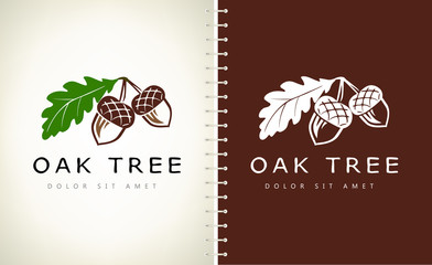 Oak tree logo. Acorn  vector.