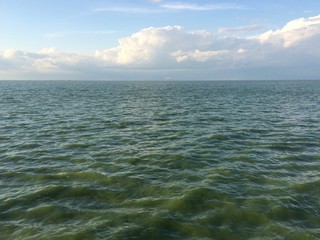 Lake Erie summer algae bloom