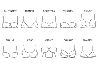 Types of women's bra isolated on white background. Set of brassieres - push up, sport, full cup, balconette, plunge, bralette, corset, triangle, t-shirt, strapless. Vector illustration