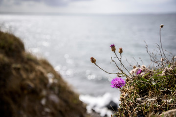 Landschaft auf Fyns Hoved