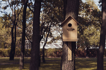 Cute empty wooden birdhouse in the park. Handmade house for birds among the trees. Home of a sparrow.