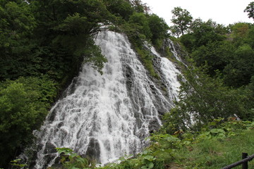 waterfall in forest