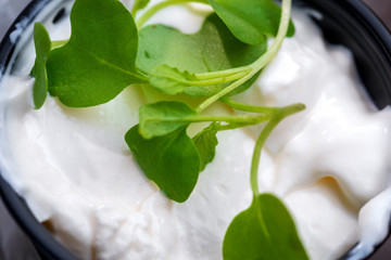 Homemade mayonnaise sauce and herbs. Fresh tasty mayo sour cream sauce in a dark bowl. Close up.