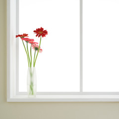 flowers in vase with window