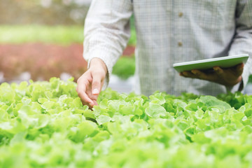 Smart farming using modern technologies in agriculture.