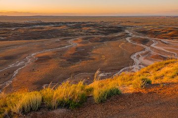 Blue Mesa Trailhead at Petridfied Forest National Park