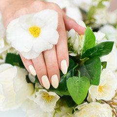 Obraz na płótnie Canvas manicure nails hands gel polish