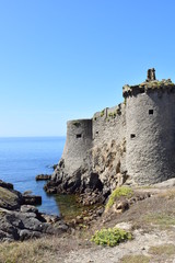 Fototapeta na wymiar le vieux château de l'Ile d'Yeu