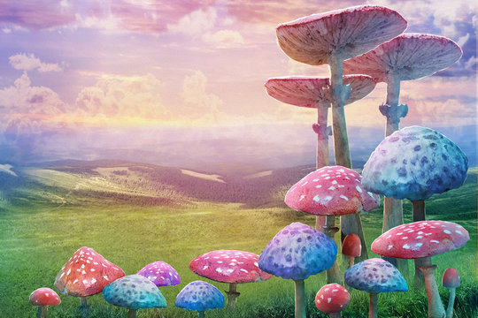 fantastic wonderland landscape with mushrooms. illustration to the fairy tale "Alice in Wonderland"