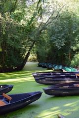 les barques du marais poitevin, Vendée, France