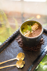 the dessert that looks like grass and soil put in a black small pot decorated with grounded coffee around the pot placed on a black rectangle plate