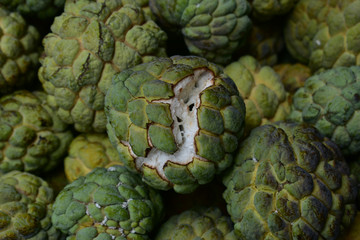 Fototapeta premium custard apple, custard apple from Thailand country