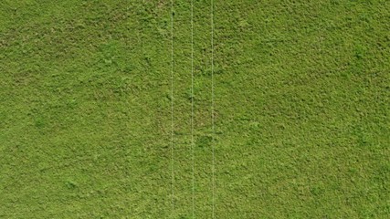 Three power lines with green grass background aerial resource