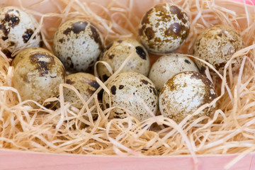 Naklejka na ściany i meble quail eggs in special packaging