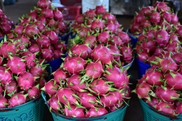 Dragon fruit, hylocereus, Dragon fruit from Thailand country