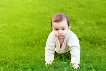 small child crawling on the green grass