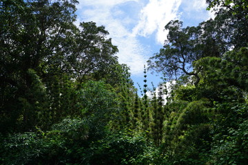 Der Talkessel von Cirque de Mafate  auf la reunion insel in frankreich