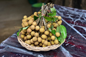 Longan, Longan from Thailand country