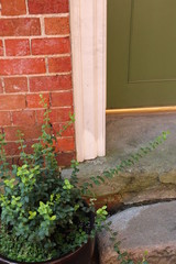 Stone Steps, Green Door, and Fern