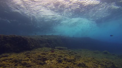Underwater Seascape. Beautiful Graceful Panoramic Of Dramatic Sunlit Sea Surface Waves Crashing & Breaking Over Colourful & Peaceful Rocky Coral Reef. Blue Sea Water & Aquatic Marine Life Silhouettes