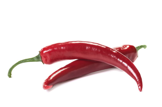 Red chili pepper isolated