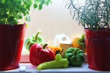 窓辺の野菜たち